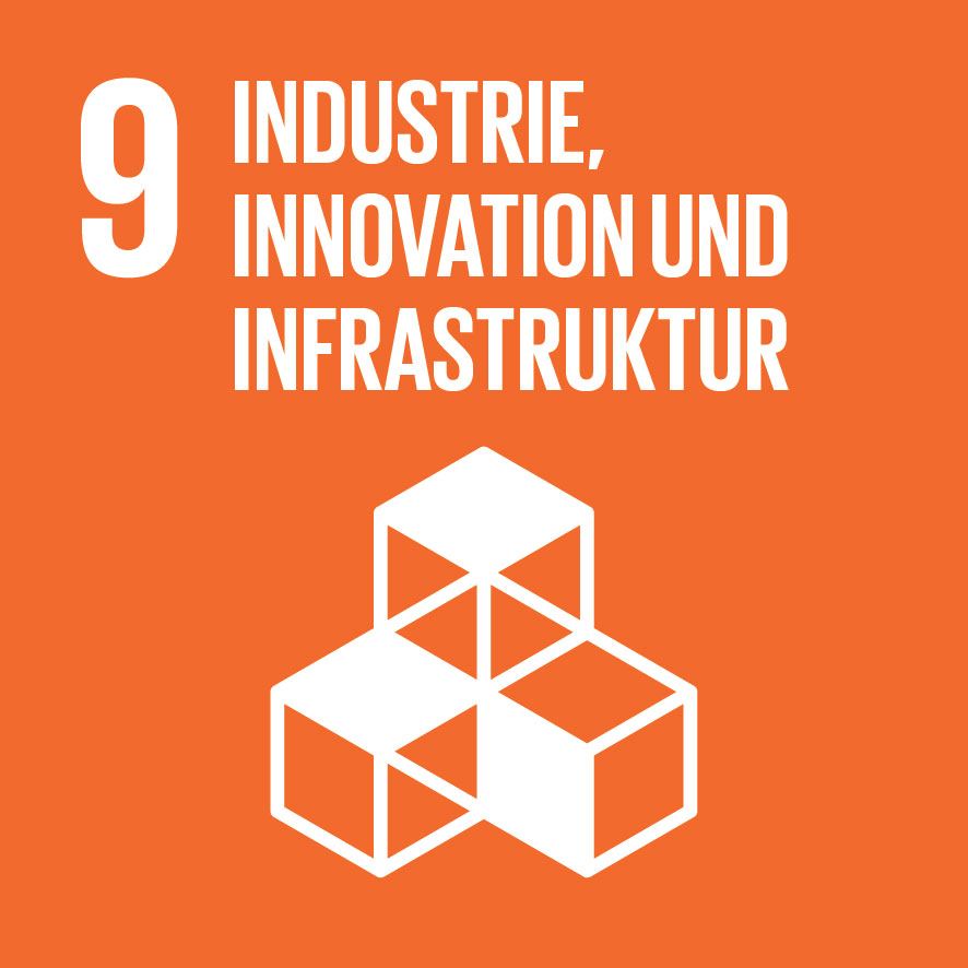 Ziel 9 – Industrie, Innovation und Infrastruktur