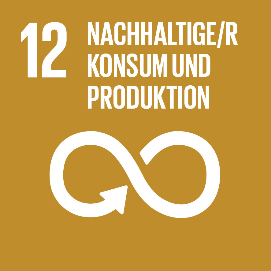 Ziel 12 – Nachhaltige/r Konsum und Produktion