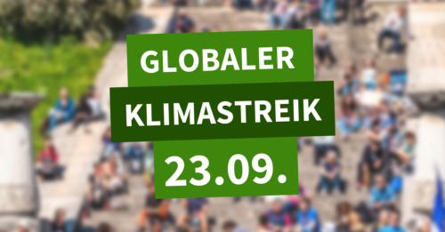 Globaler Klimastreik_Blog Website